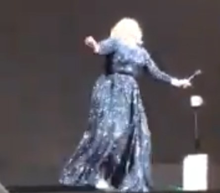 Adele è stata aggredita da un pipistrello