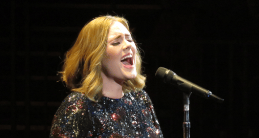 Watch Adele Freak Onstage Because A Bat Flew Into Her Concert