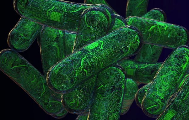 Bacteria Can Now Be Programmed Like a Computer