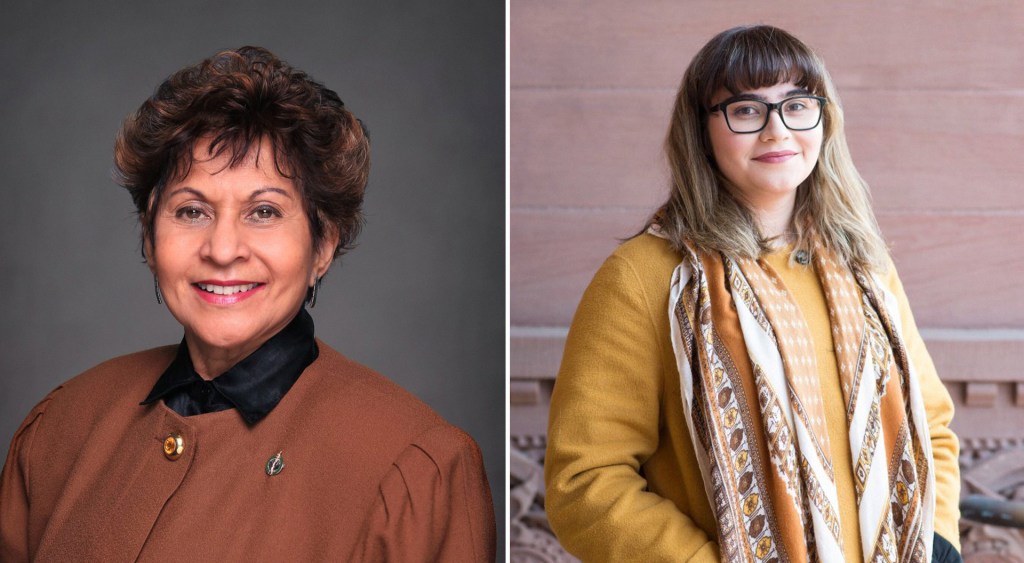 Liberal MP Apologizes For ‘Offensive’ Comments About Sexual Violence in Politics