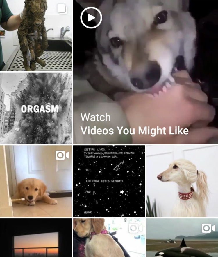 explorar de instagram lo que dice de ti