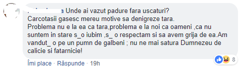 comentariu2