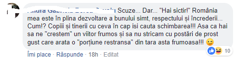 comentariu 3