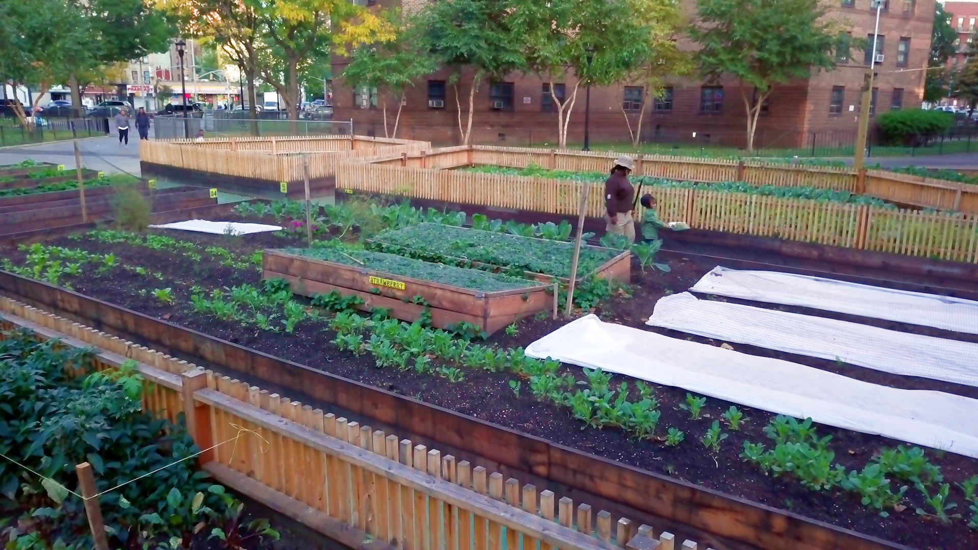 1542839074644-WagnerFarm-1