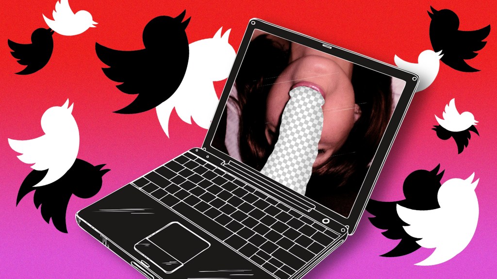 Weiße Frauen suchen auf Twitter nach “Big Black Cocks”, die sie schwängern