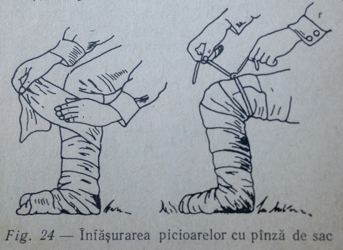 picioare