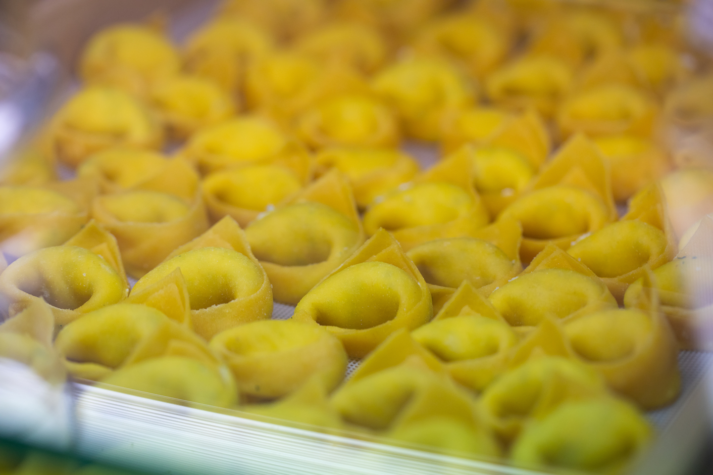 pasta fresca bologna dove mangiarla