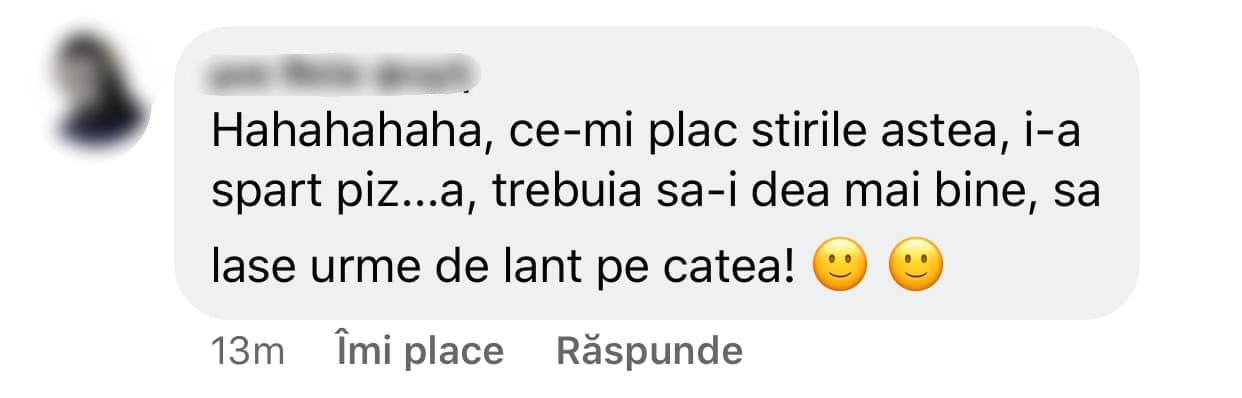 comentarii daniela crudu