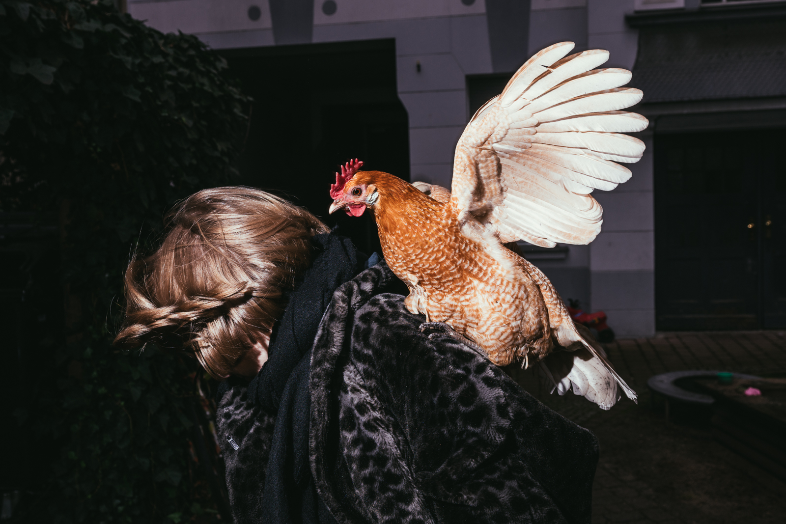 Das Huhn greift unsere Autorin an
