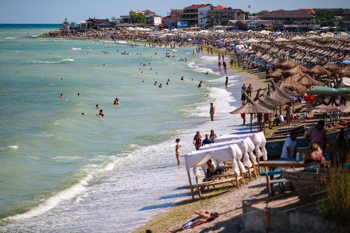 vama (2).jpg