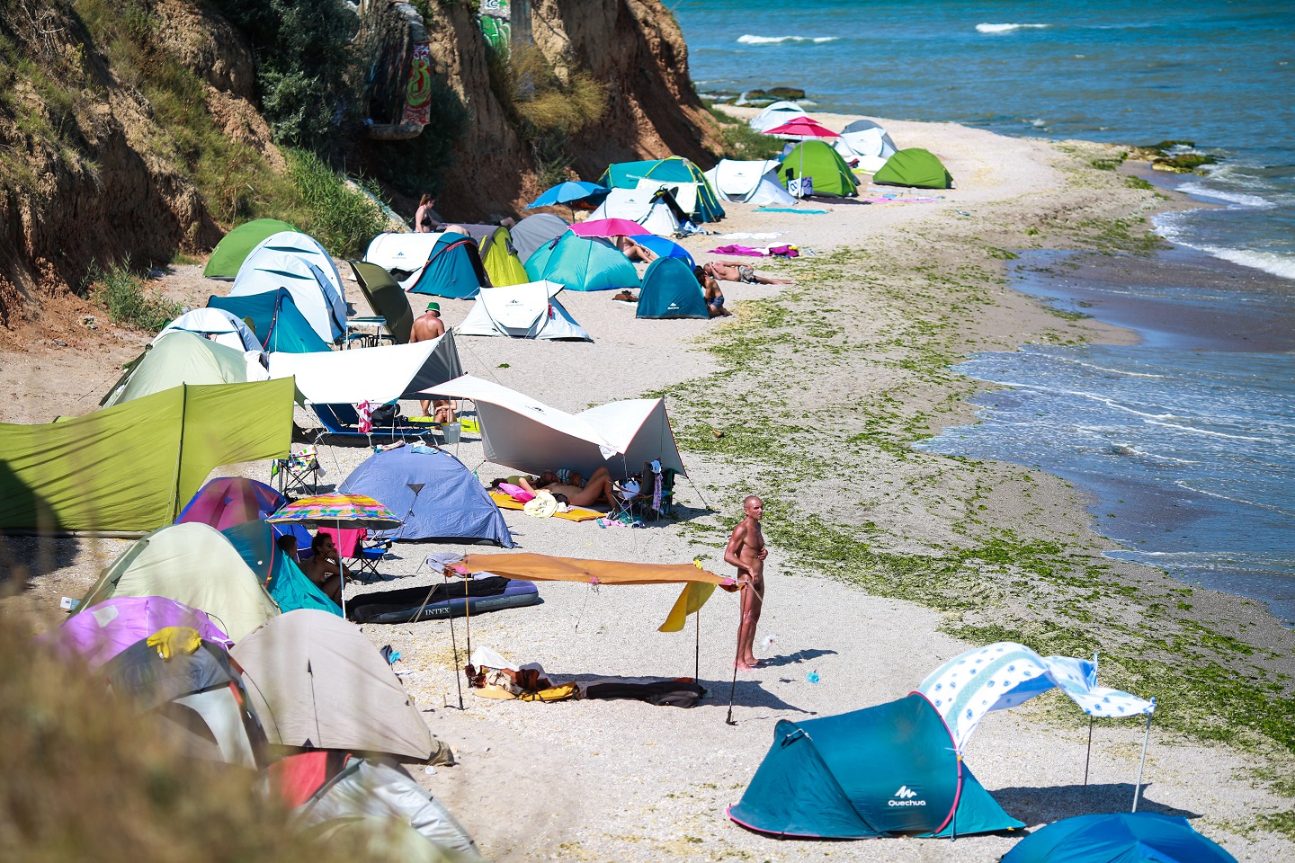 vama (1).jpg