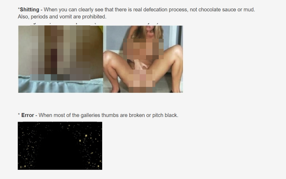 Der von uns verpixelte Screenshot zeigt Fotos, die bei xHamster unter die Kategorien