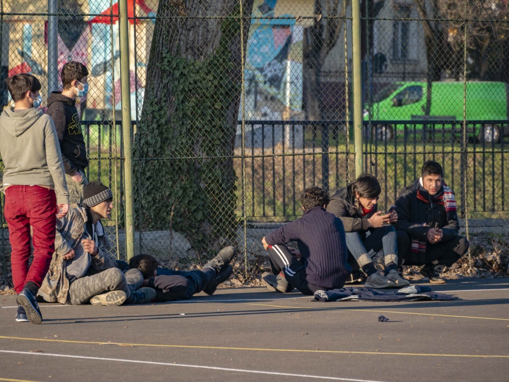 imigranti timisoara