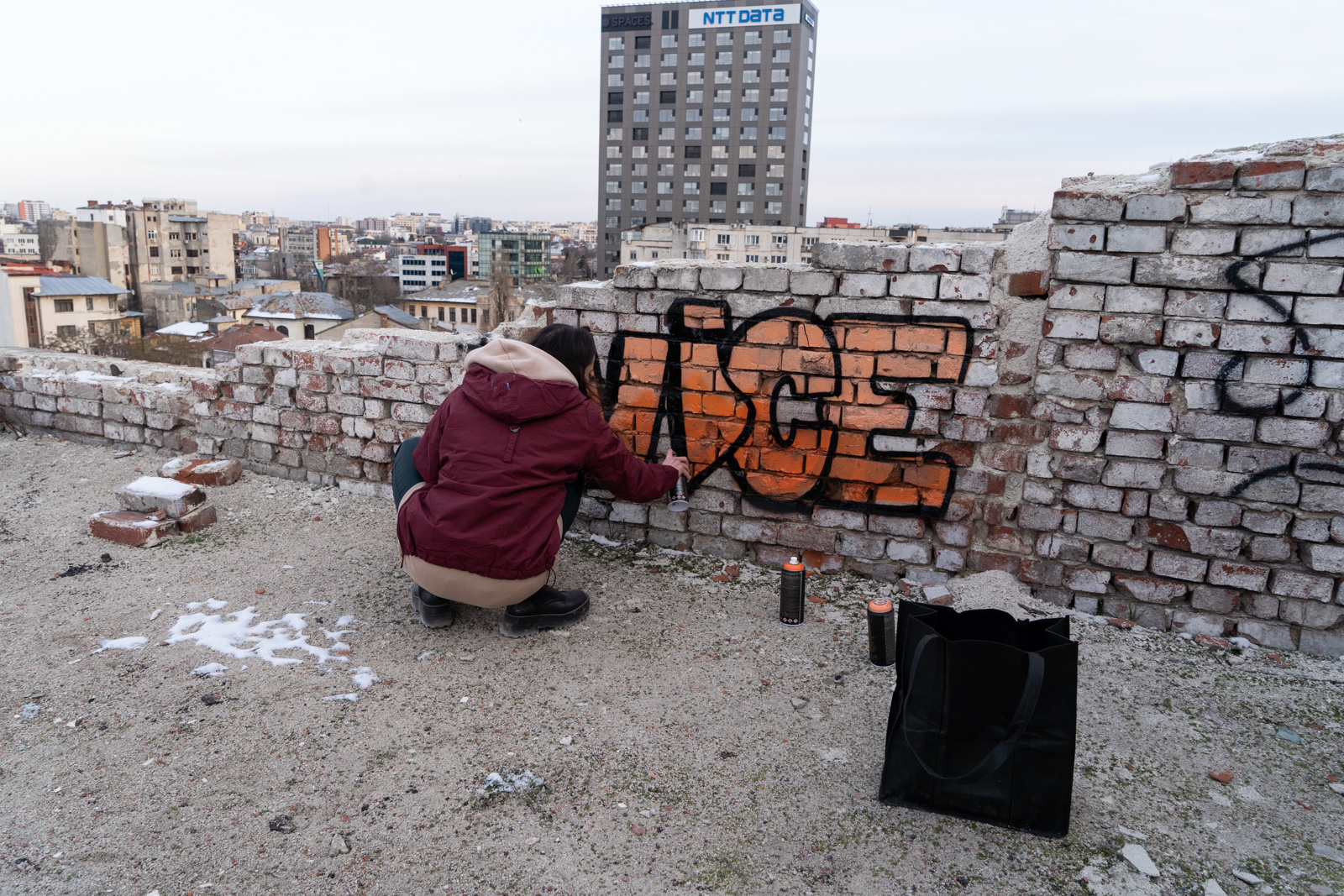 vice