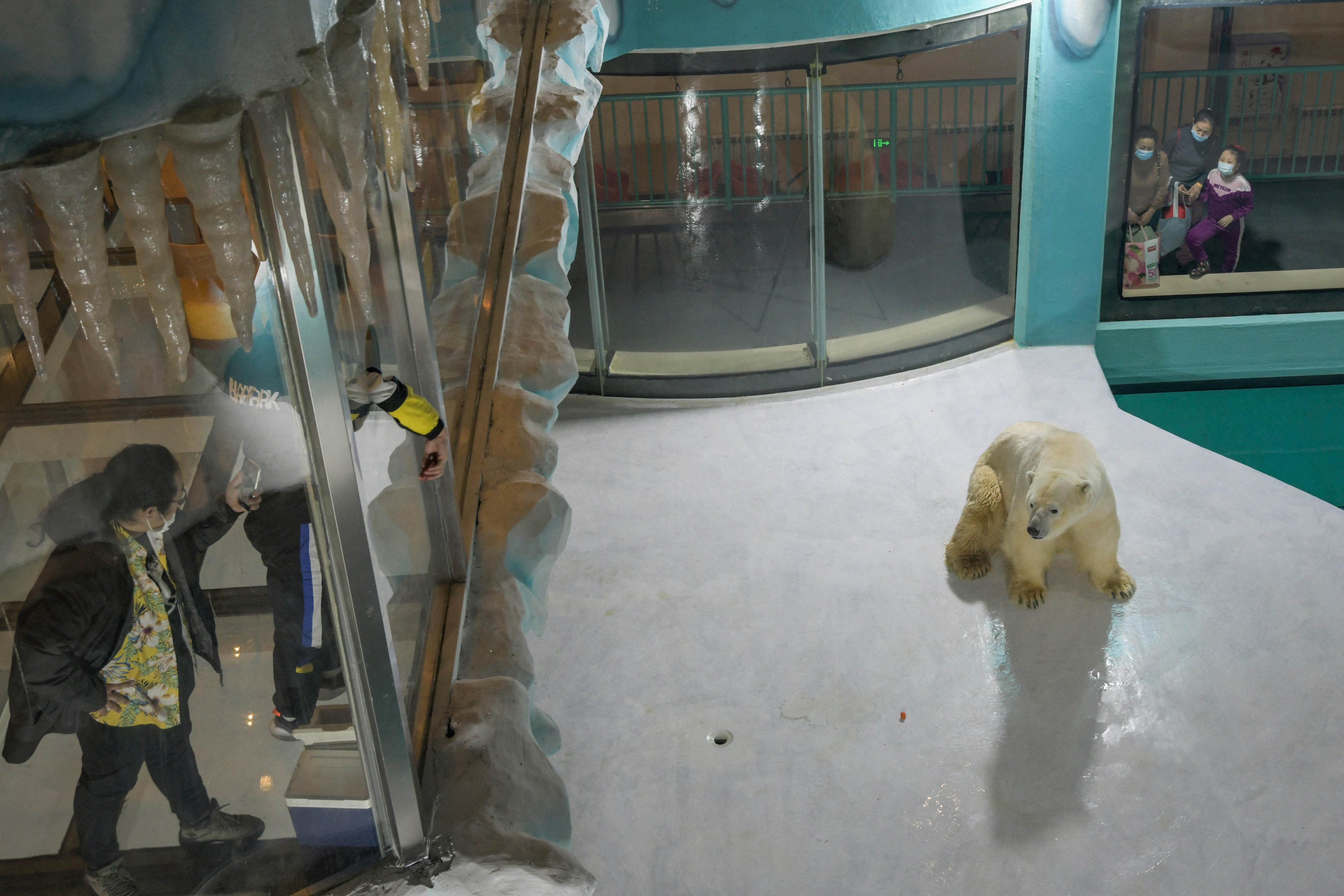 People look at a polar bear inside its enclosure at a newly-opened hotel in Harbin, China. PHOTO: AFP / STRINGER