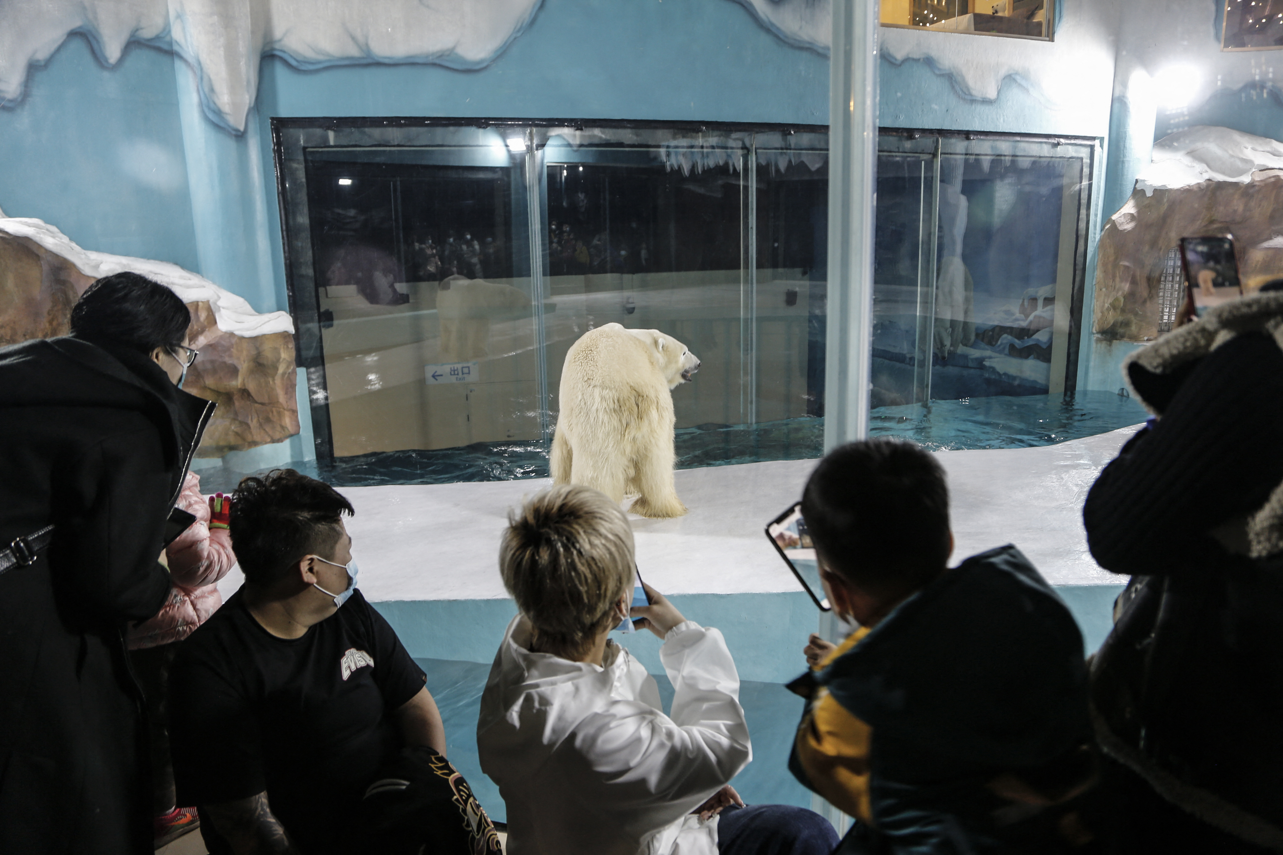 People look at a polar bear inside its enclosure at a newly-opened hotel in Harbin, China. PHOTO: AFP / STRINGER