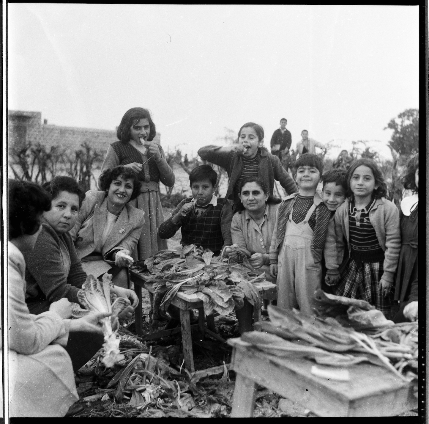 Kegham Djeghalian, foto di Gaza