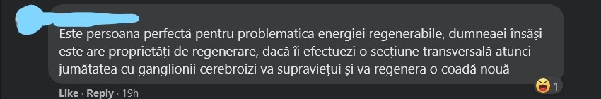 meme Dancila