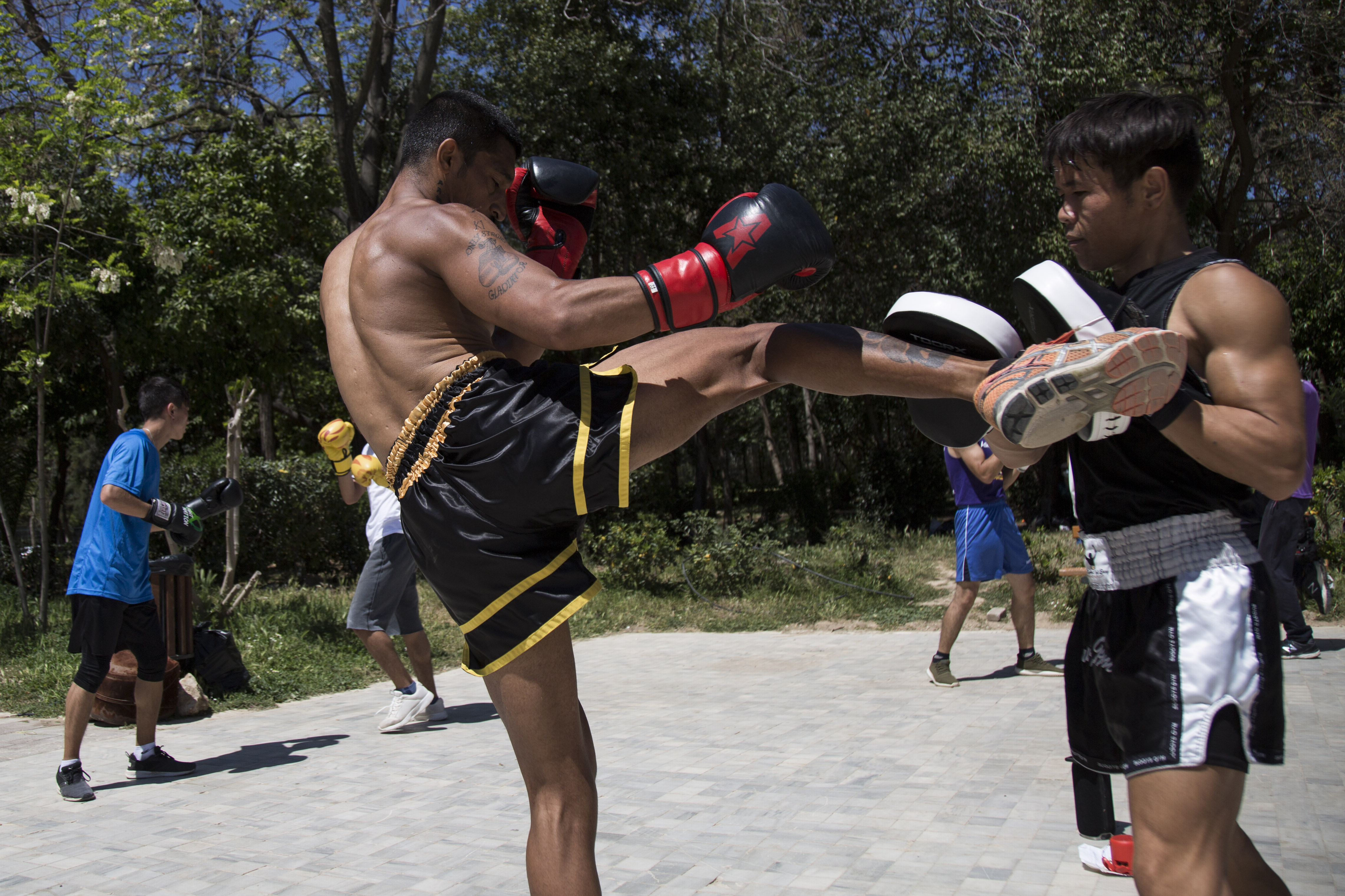 Hamid Norouzi and SHABIR HASANI – Norouzi doing a side kick.