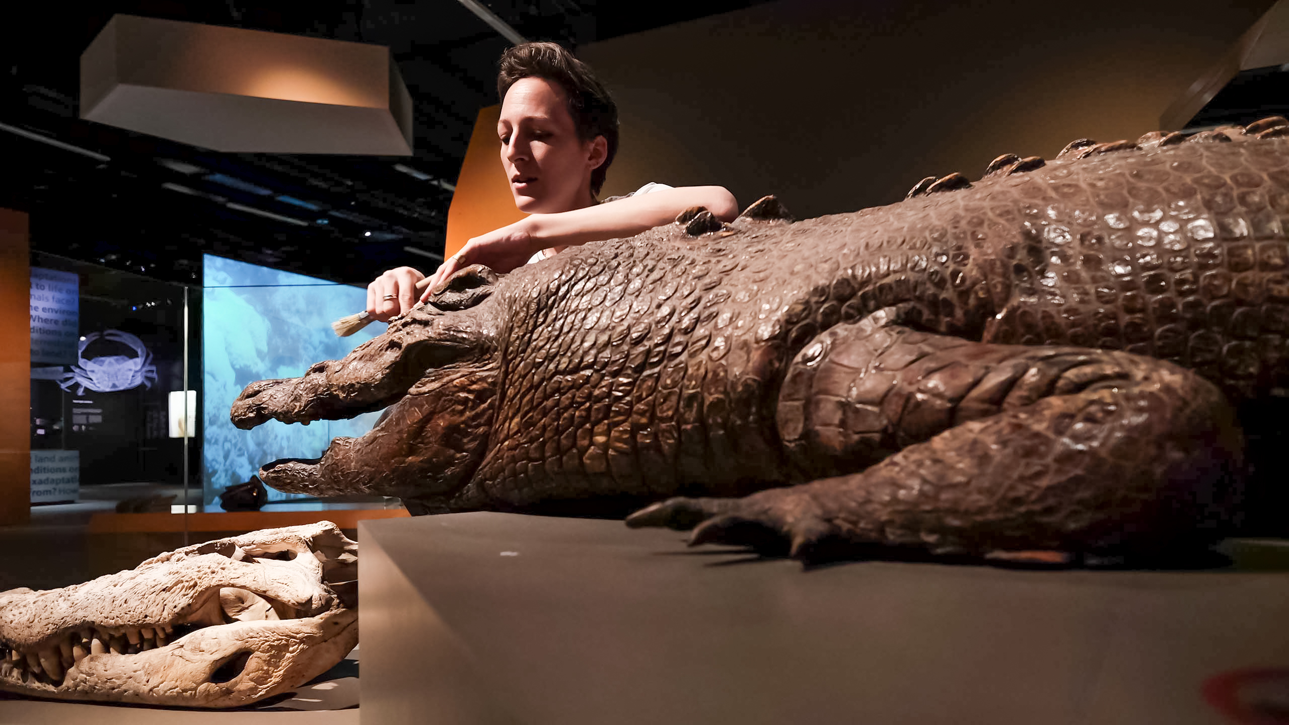 British conservator Kate Pocklington at work. Photo: Courtesy of Lee Kong Chian Museum of Natural History