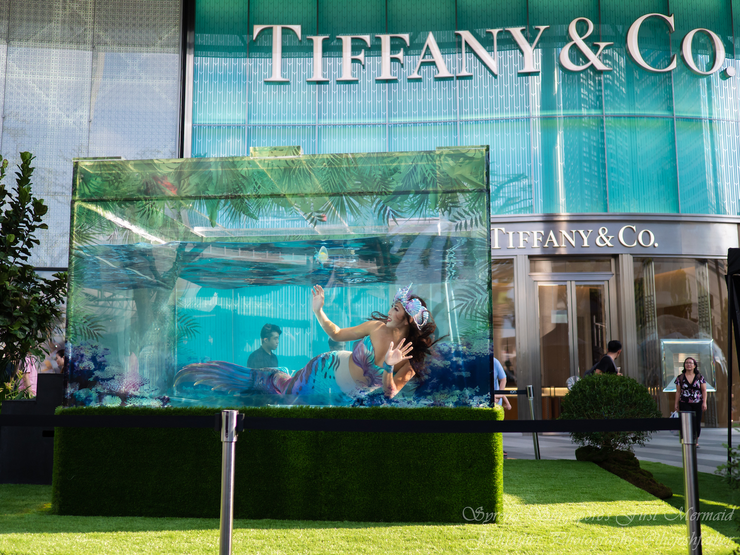 syrena, singapore's first professional mermaid