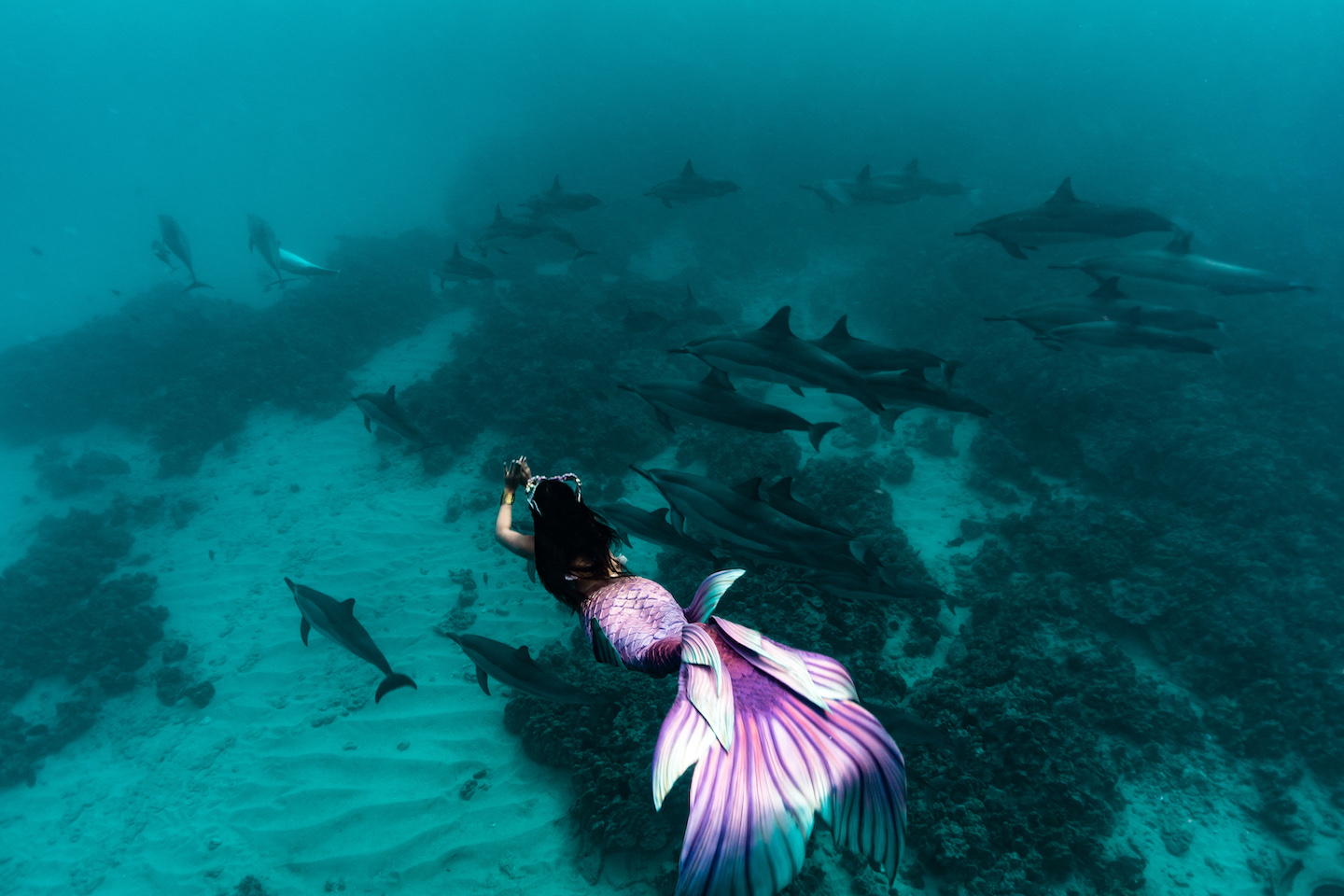 syrena, singapore's first professional mermaid