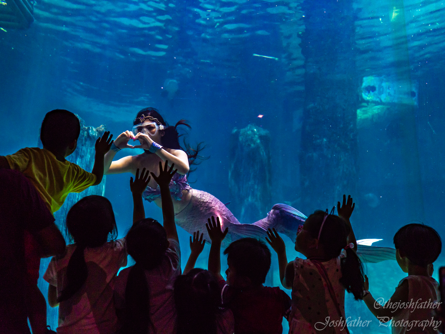 syrena, singapore's first professional mermaid