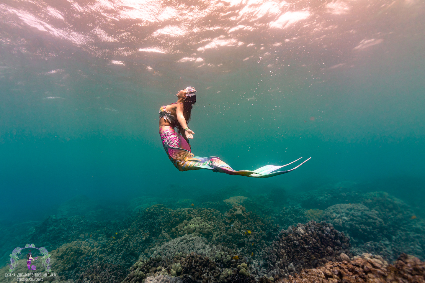syrena, singapore's first professional mermaid