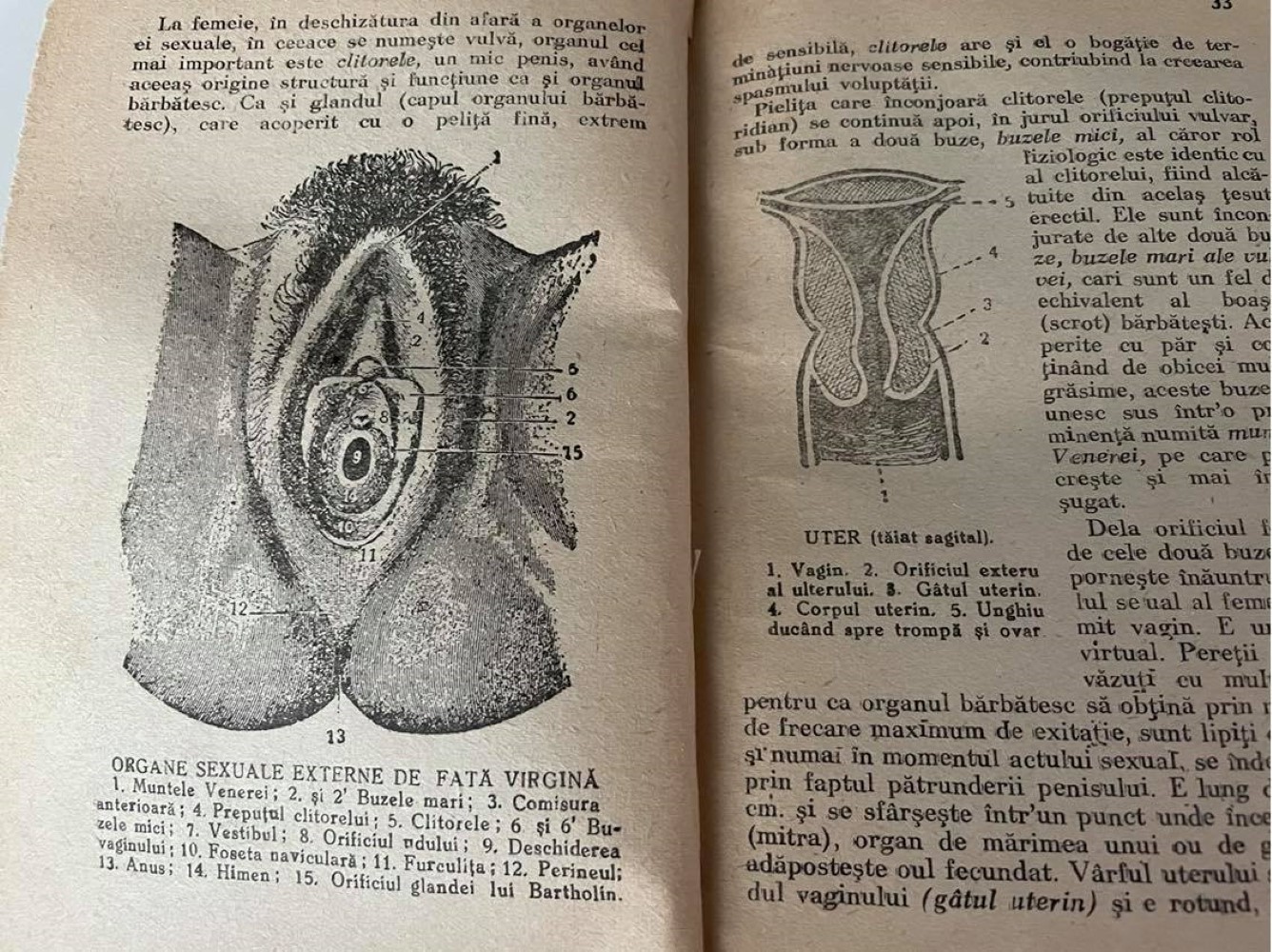 educatie sexuala romania carte 1947