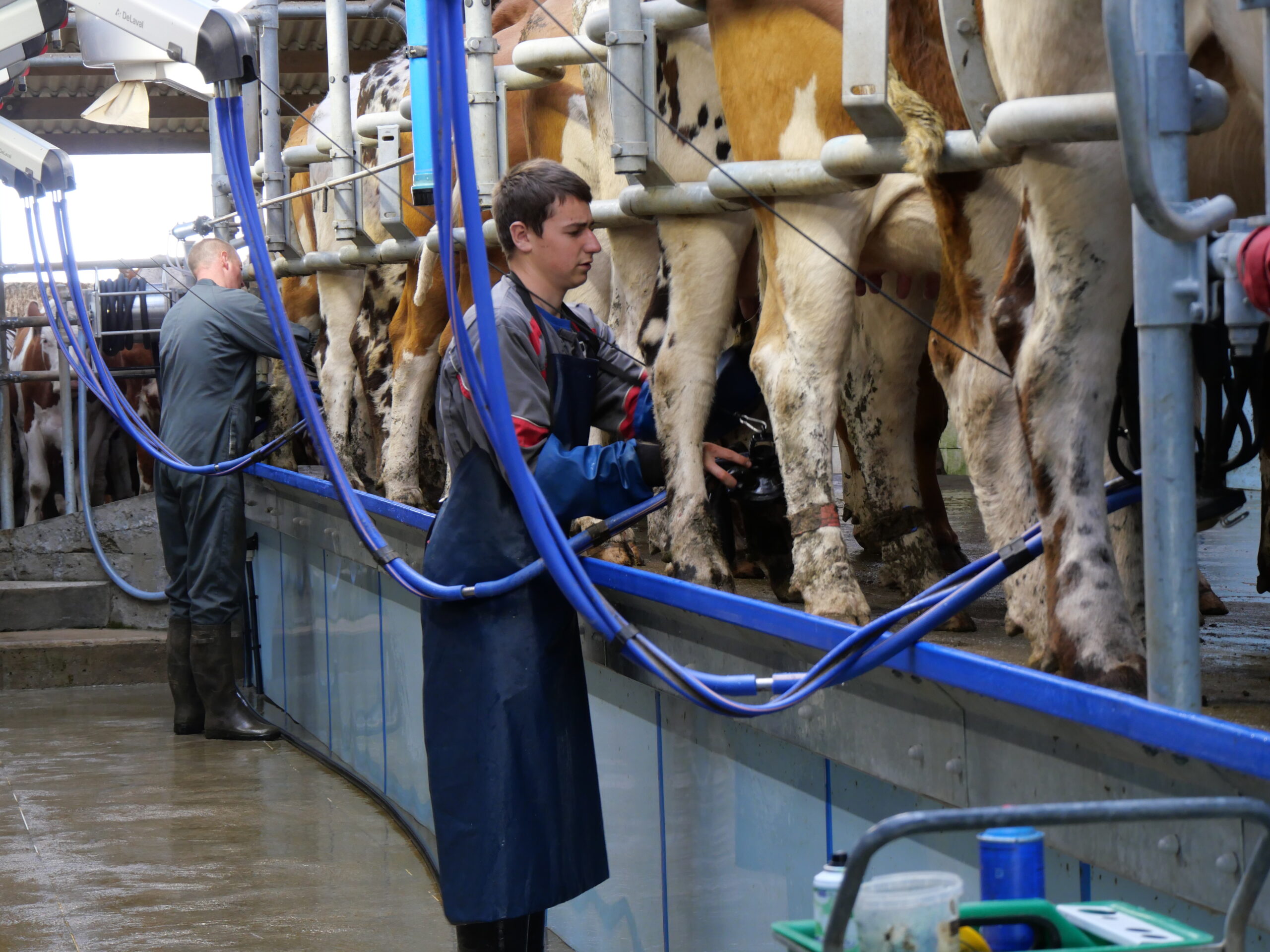gay in domeniul agricol, fermier gay