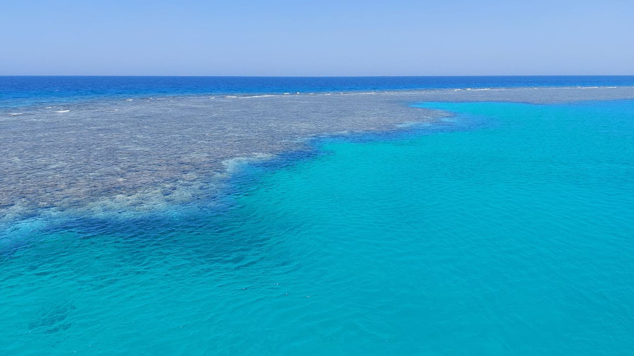 turism egipt, preturi hurghada cairo egipt