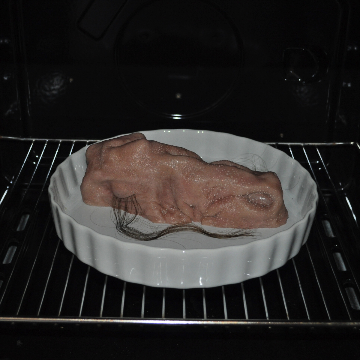 Fotografia di carne sintetica e pelosa in una terrina dentro a un forno.