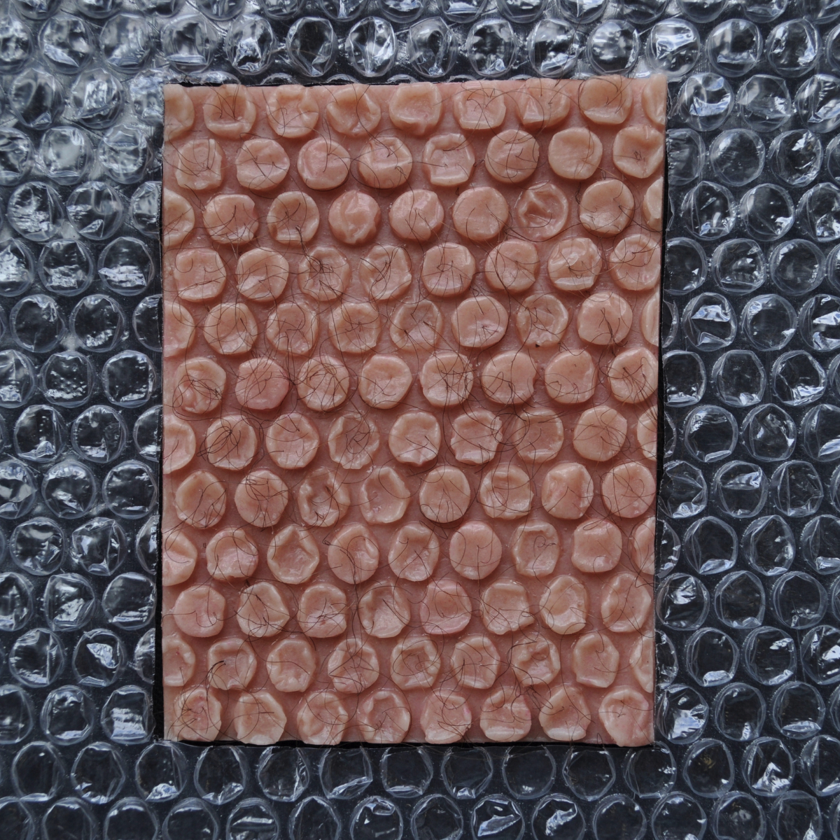 Scultura di un riquadro di carne umana, simile al pluriball.