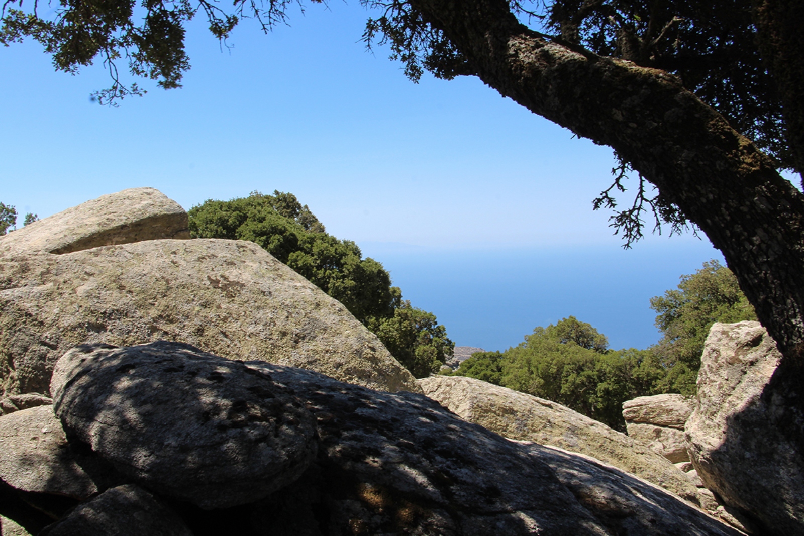 hidden_ sea view.jpg