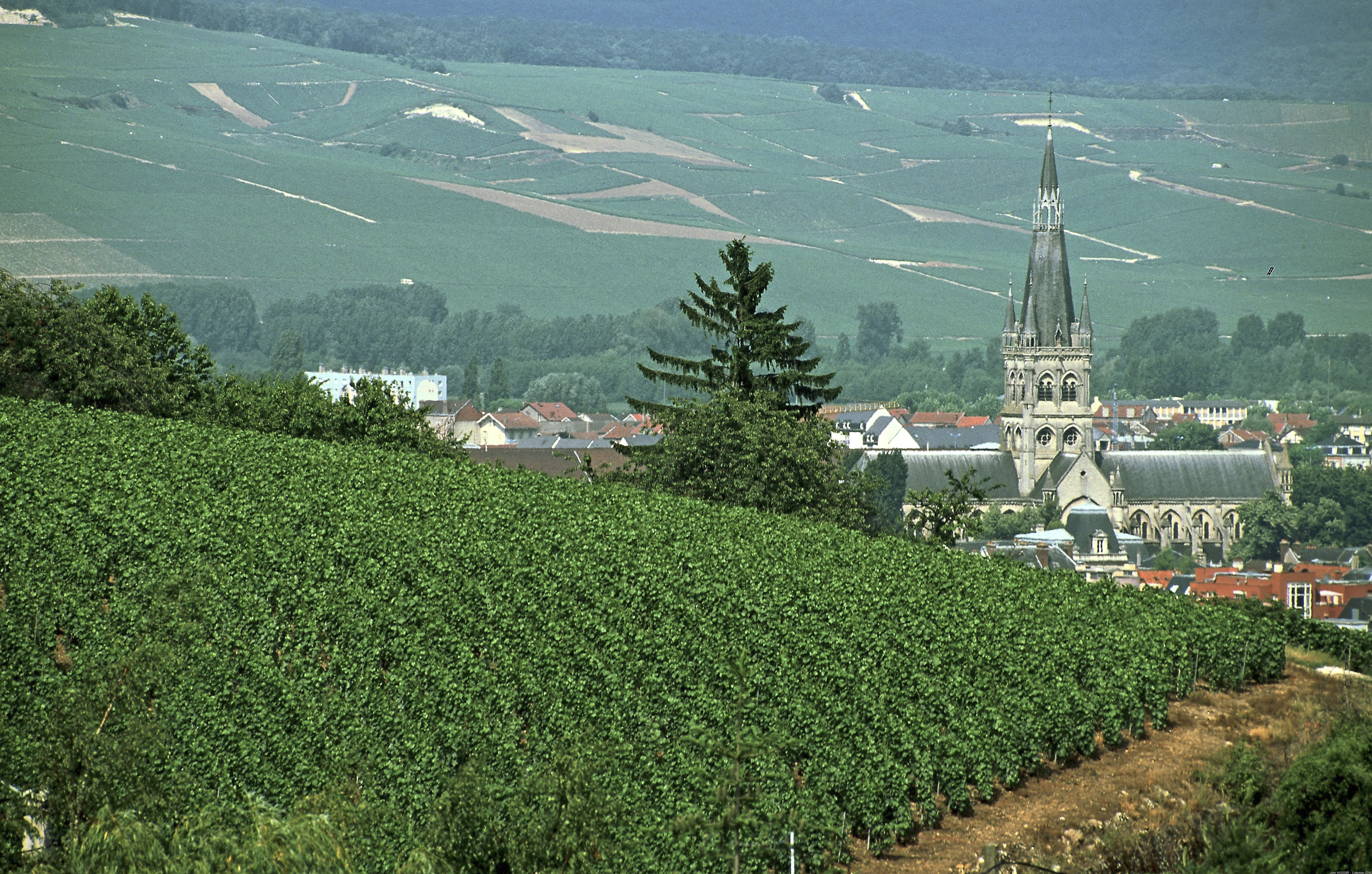 epernay.jpg