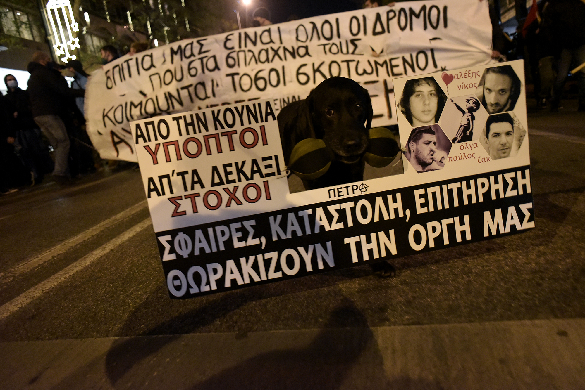 GZ1_4431.JPG