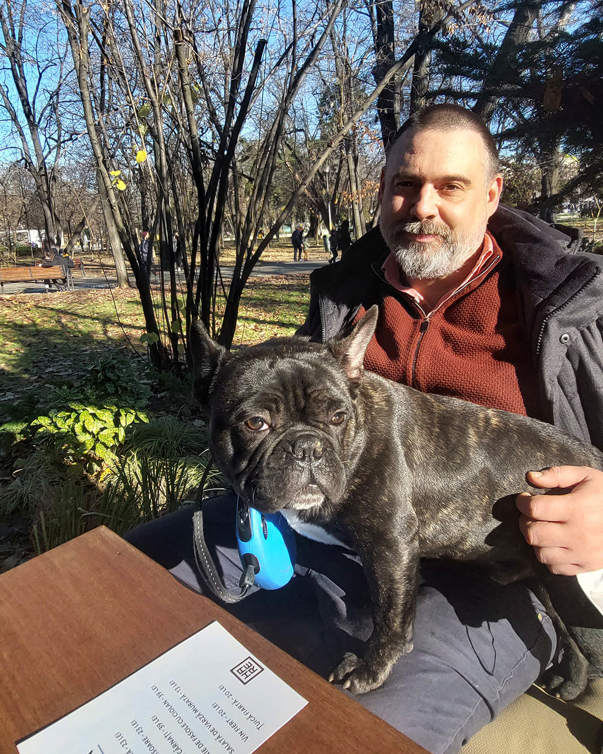 rasa bulldog gradinita de caini, fundraising romania, cheta pentru caine rase de caini