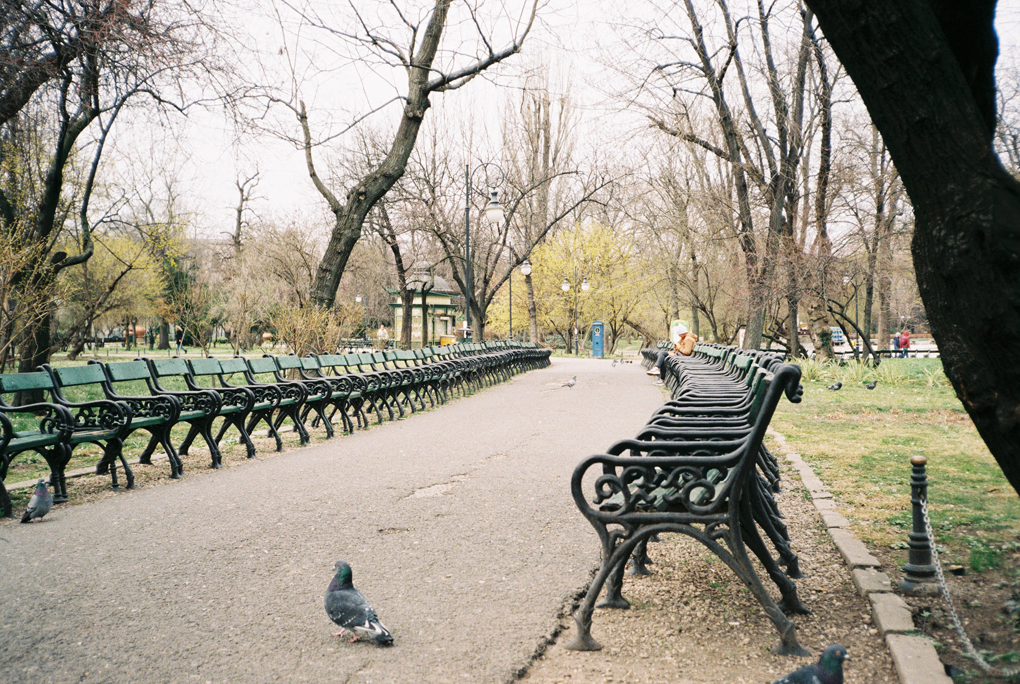 refugiati ucraina romania bucuresti, turist ucraina bucuresti