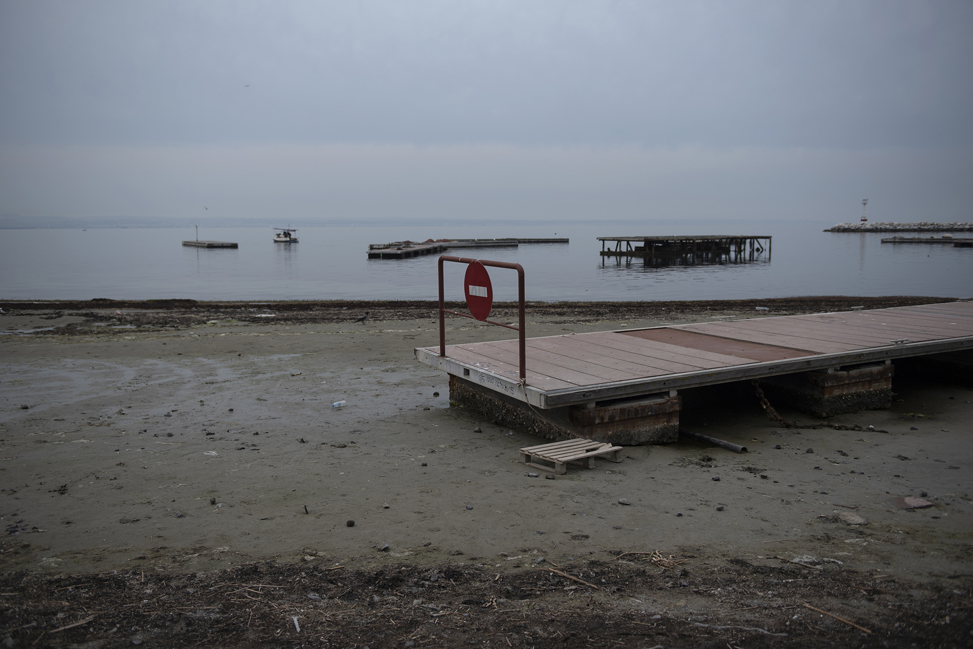 AAV_2179.jpg