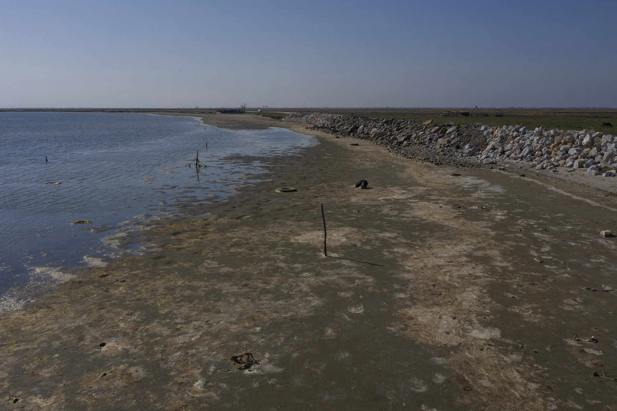 DJI_0973.jpg