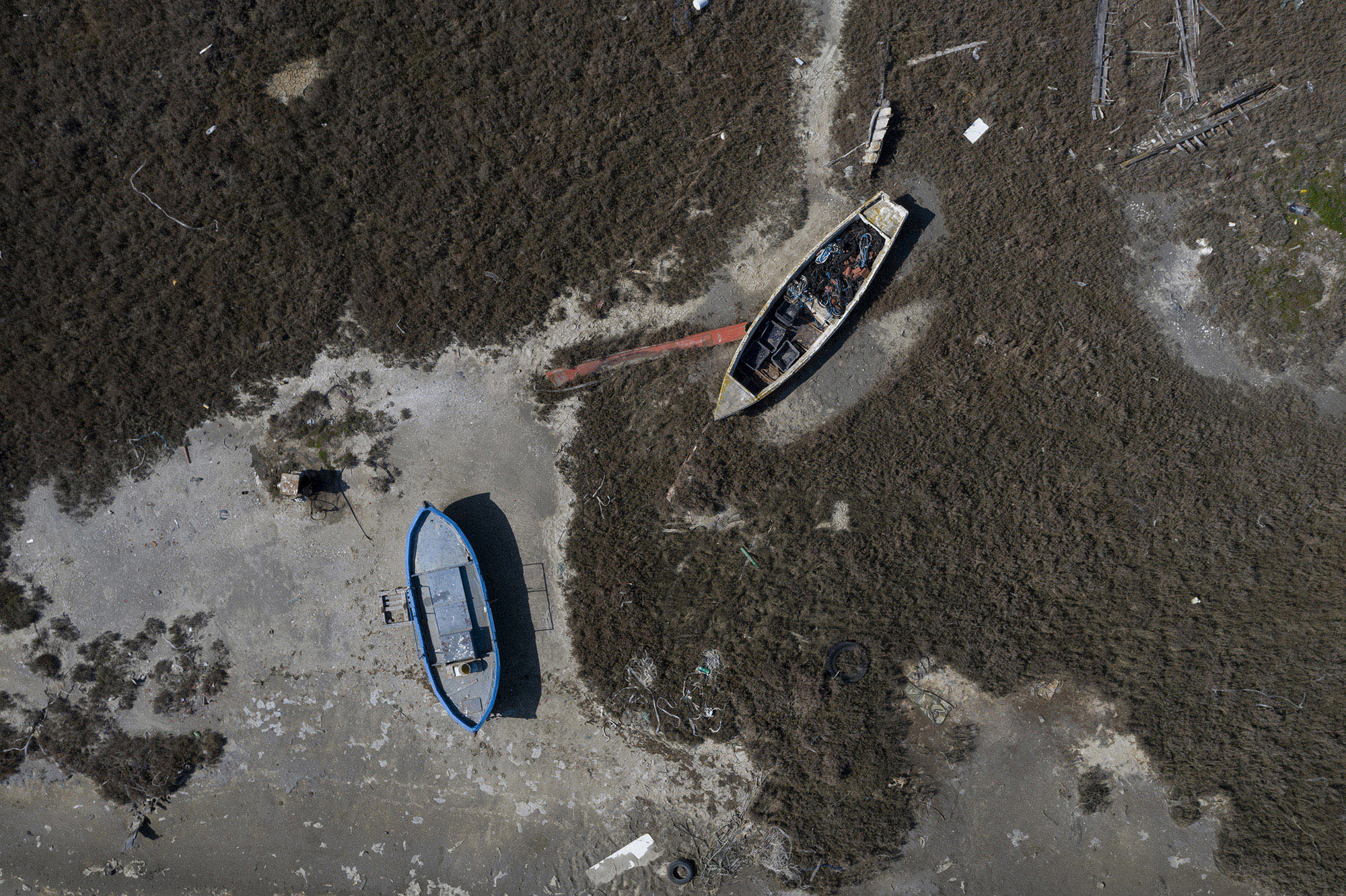 DJI_0913.jpg