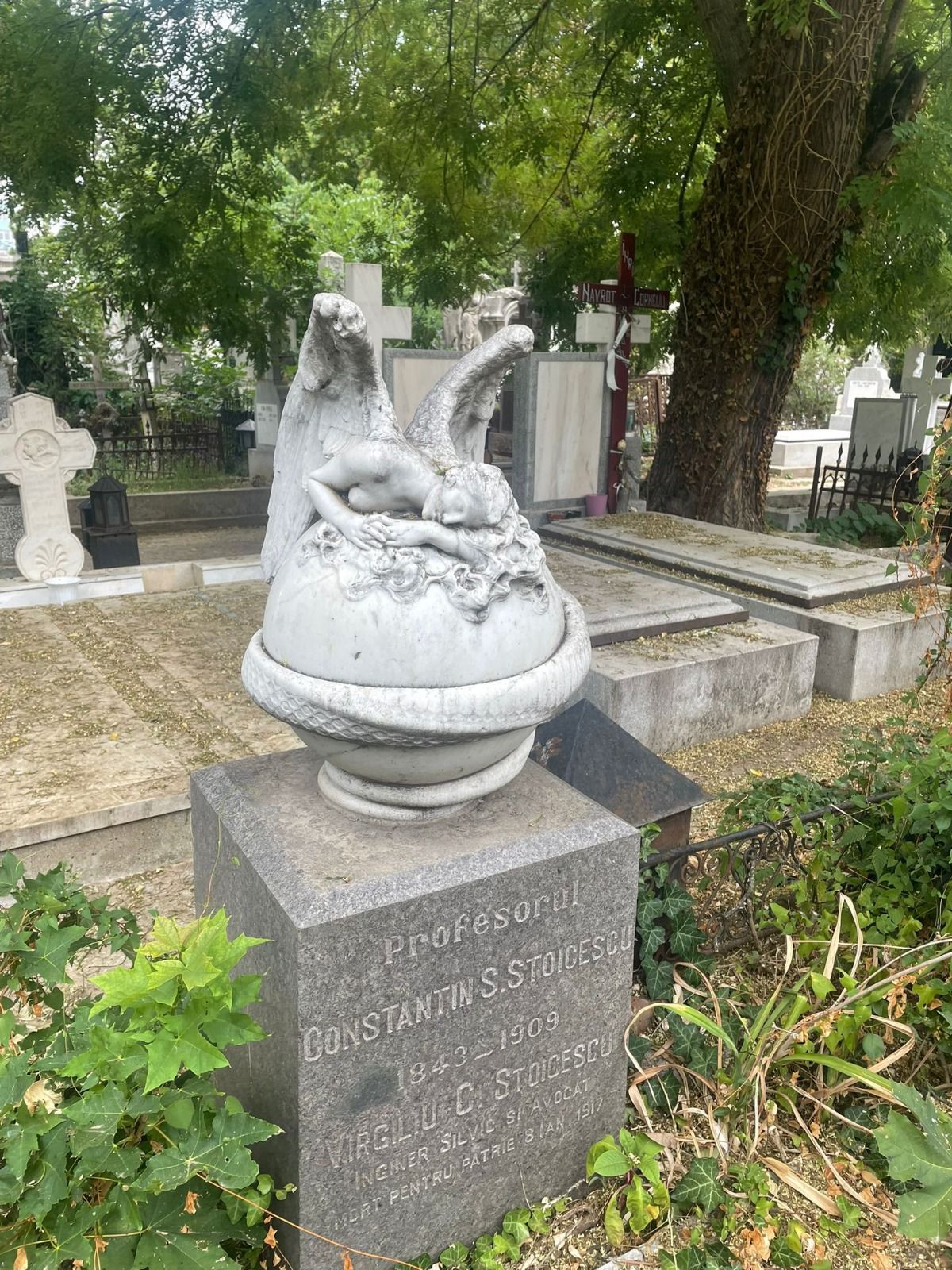 atractii turistice cimitirul bellu excursie tur ghidat