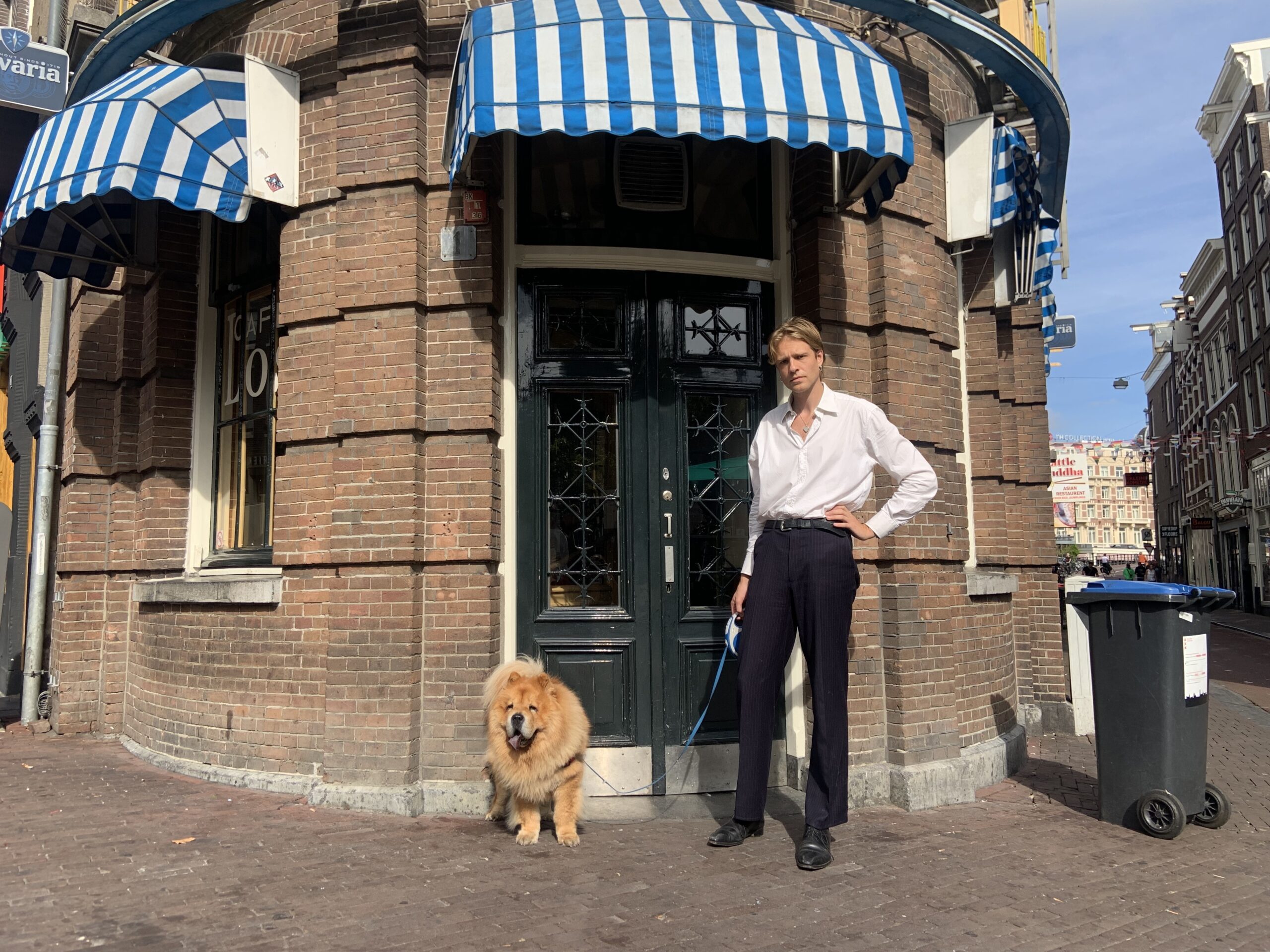 pet sitter experienta, grija de caine job part time