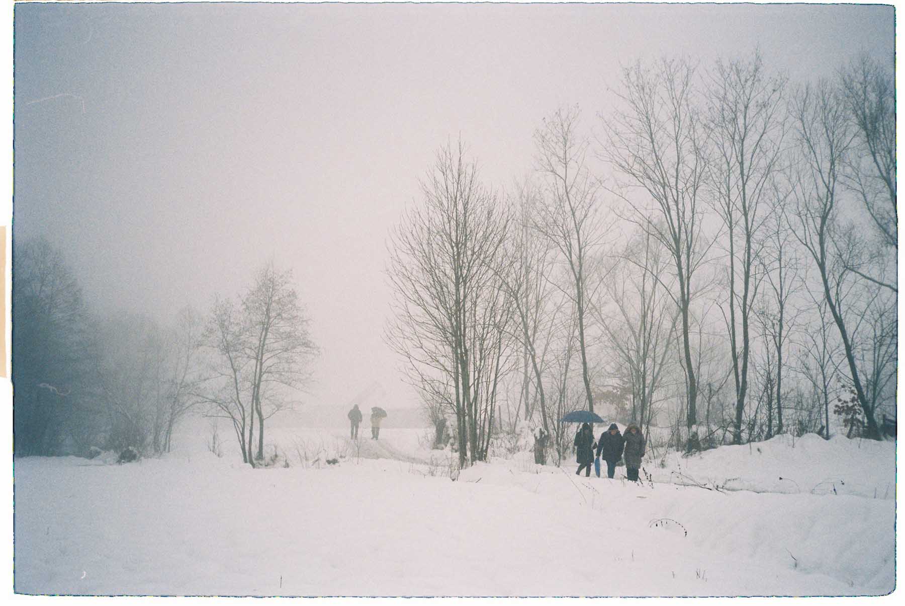 sat romania maramures colindat morti obicei craciun brad drum