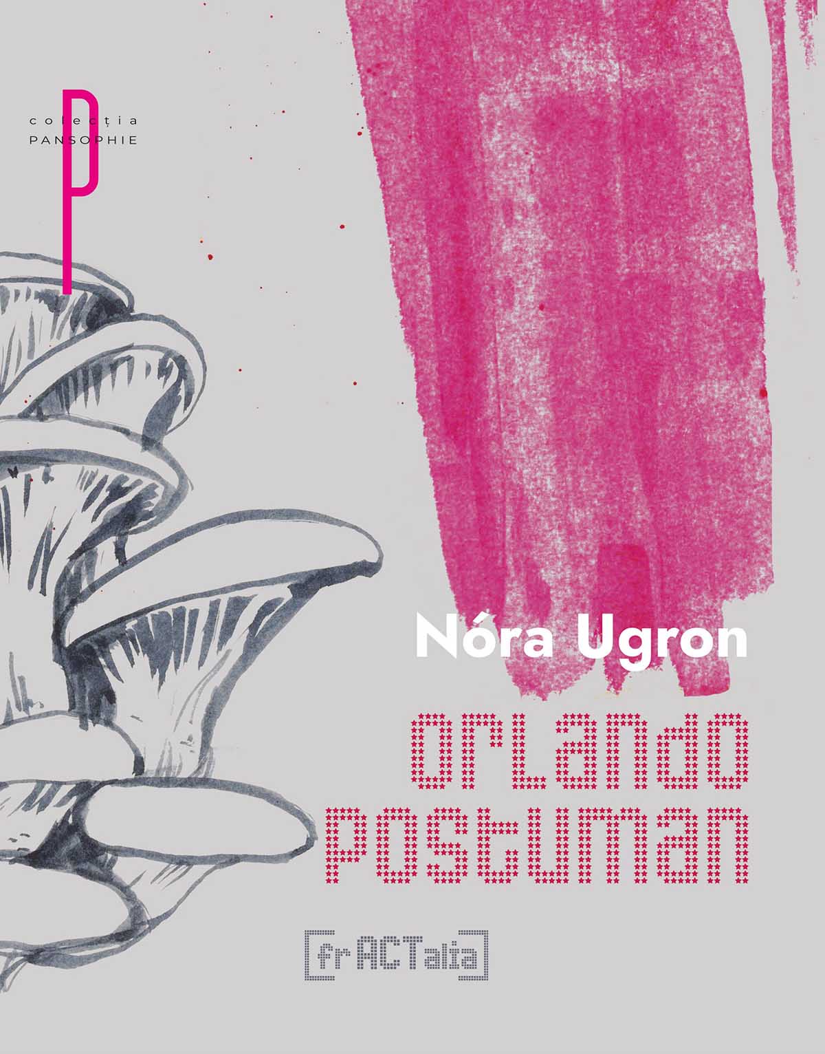 carti romanesti lgbt queer scriitori romani literatura nora ugron